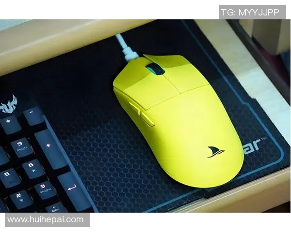 电竞设备的变迁之路：从滚球鼠标到超高刷新率显示器的全面解析